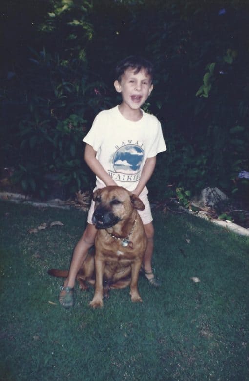 Destructive Chewing How to Stop Dogs from Chewing their Bed