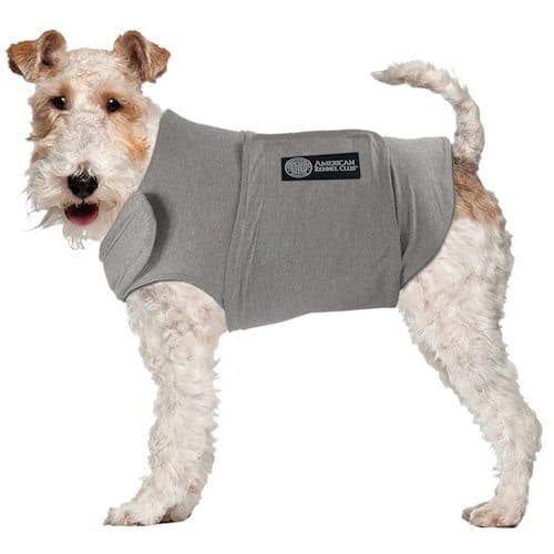 dog coat reliefs anxiety