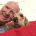 How to Clean the Dog Bed and Dog Grooming Products