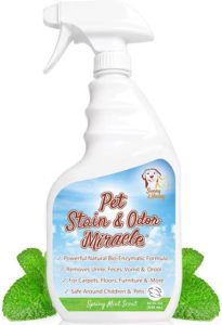 top pet stain remover