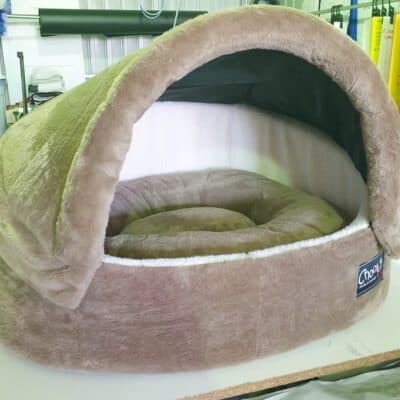 Klam in Cream Sherpa