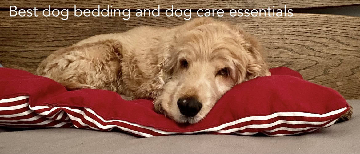 Cocker Spaniel sleeping on quality dog bedding